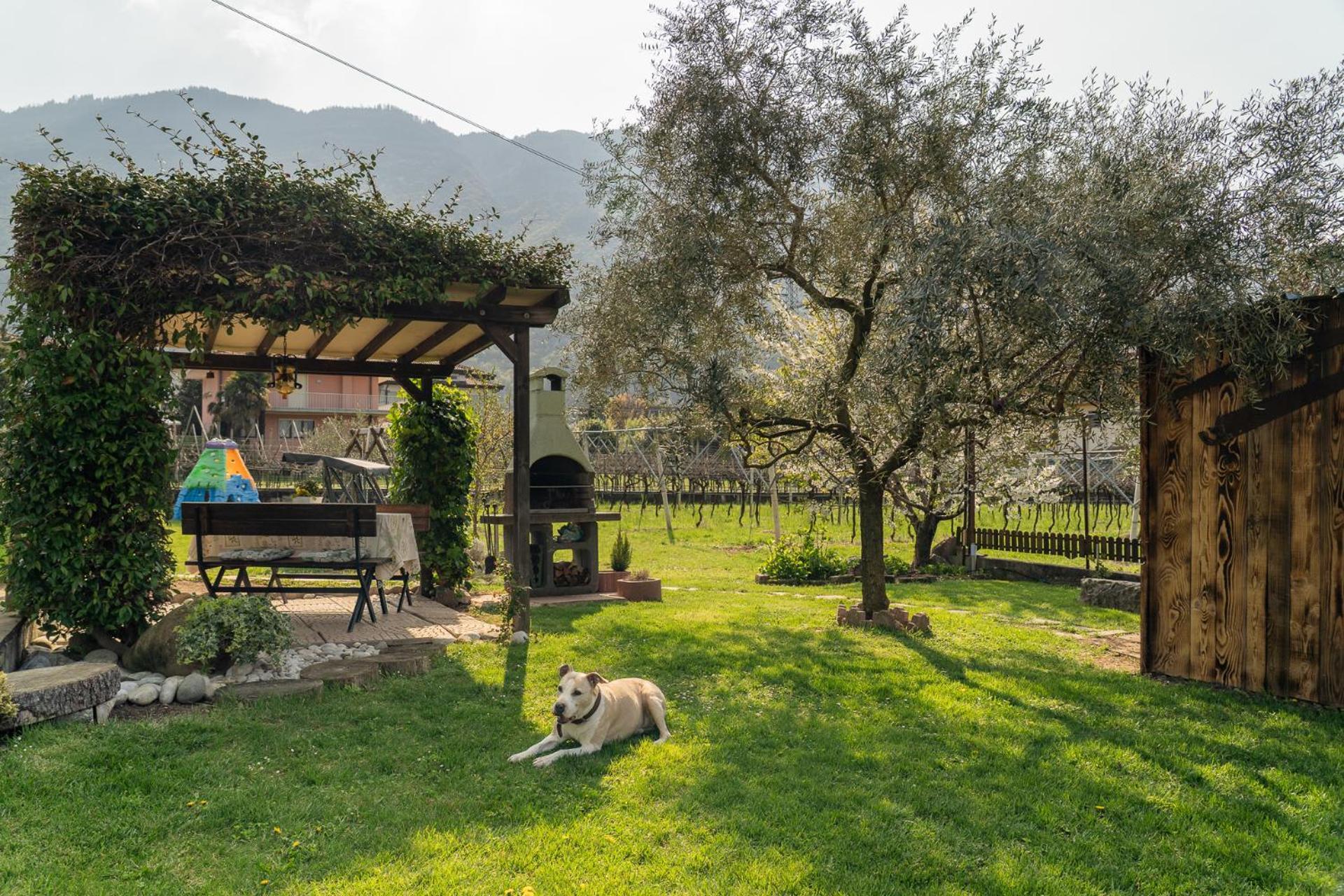 La Casa Nel Verde アルコ エクステリア 写真